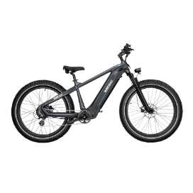 Himiway Zebra Fat E-bike white background