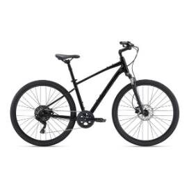 giant roam 2 disc hybrid bike