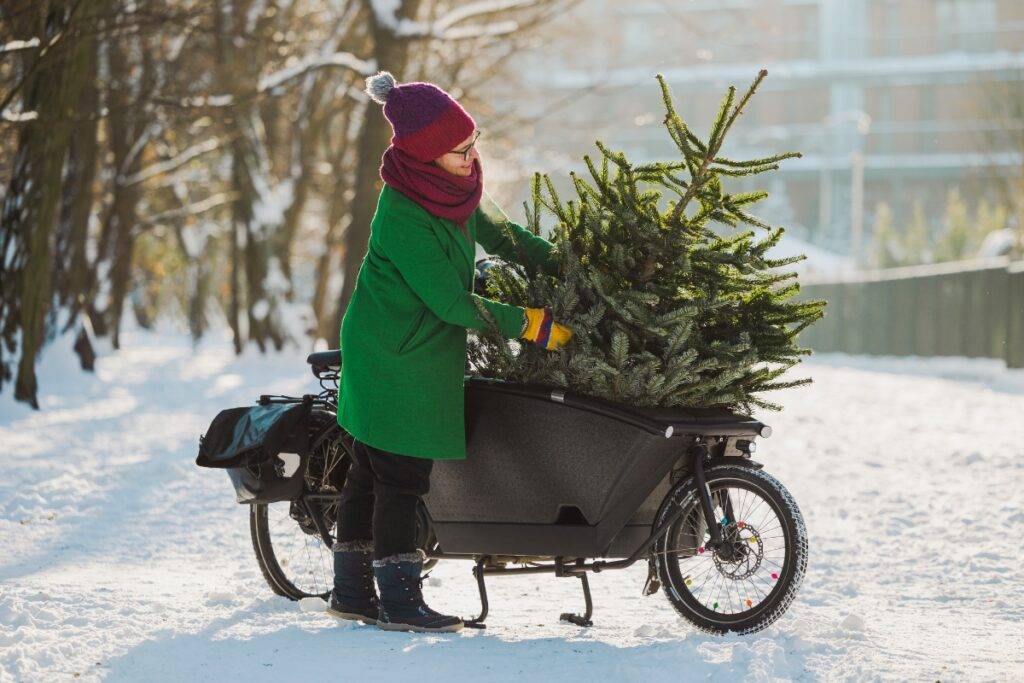 A person using a cargo bike in winter to transport a Christmas tree